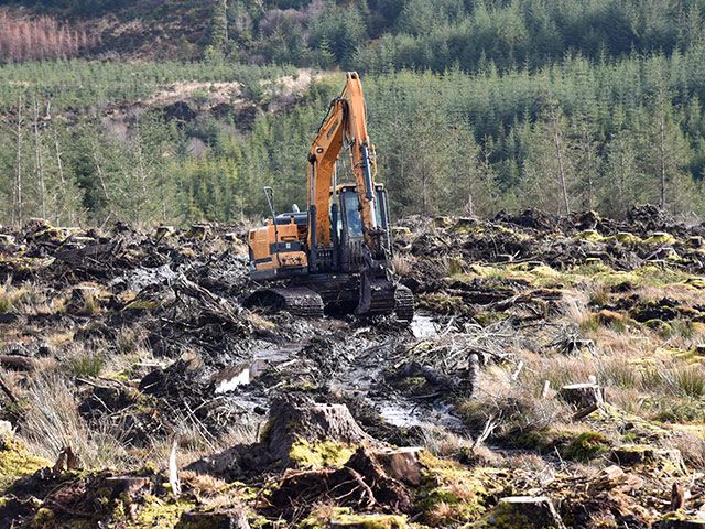 Carron Valley Plant sceglie gli escavatori Hyundai a telaio alto per le impegnative attività forestali